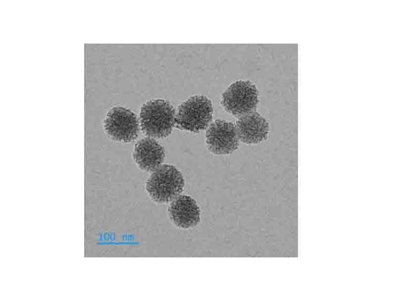 扫描电子显微镜(SEM)