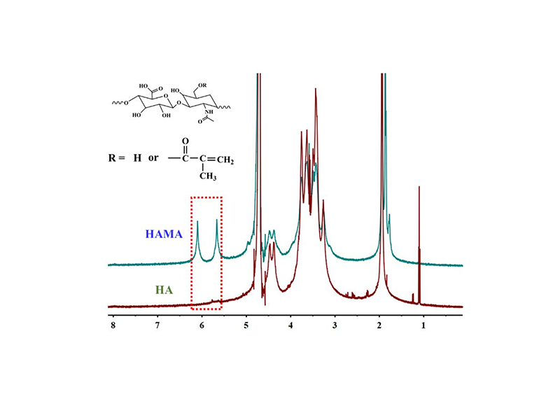 核磁共振波谱法(NMR )