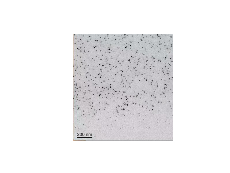 扫描电子显微镜(SEM)
