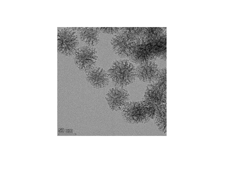 扫描电子显微镜(SEM)