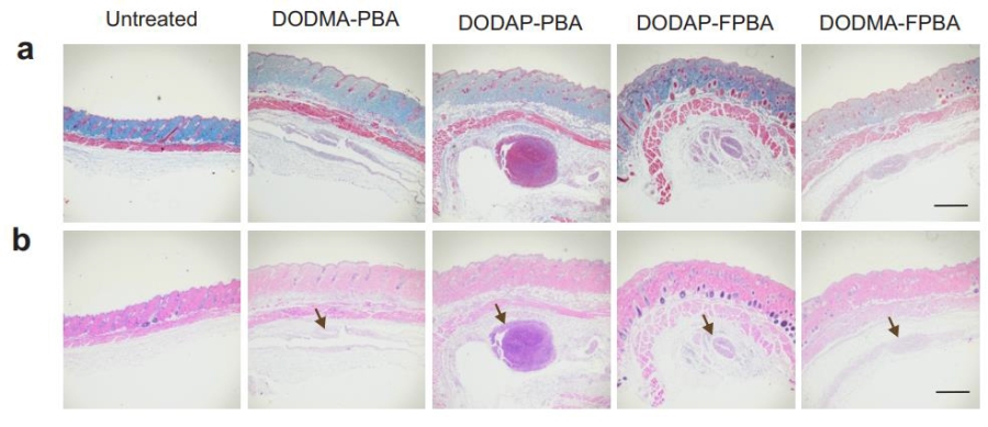 提升胰岛素稳定性与利用率：中新康明推出基于DODAP/DODMA的脂质体CDMO方案