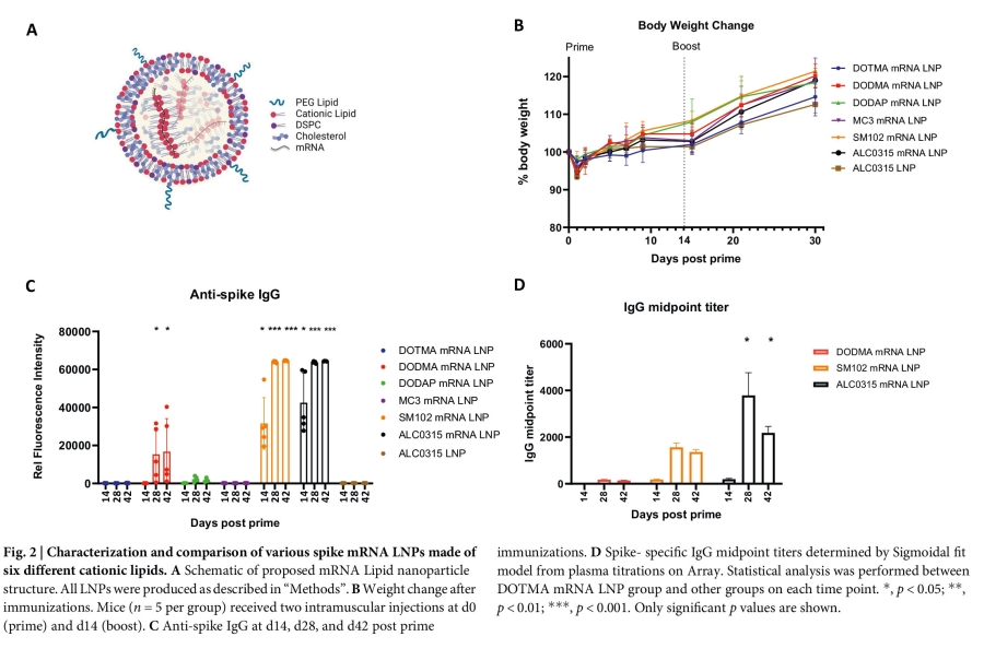 COVID-19 mRNA疫苗的LNP配方从分子设计到动物验证的一站式解决方案