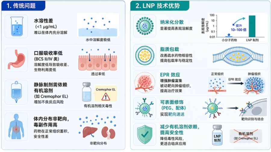 小分子药物 LNP 递送 CDMO：溶解度提升制剂服务-中新康明