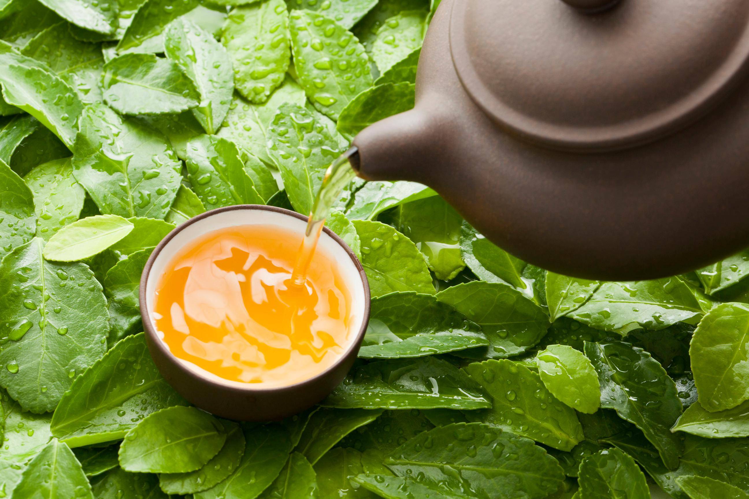 中空介孔二氧化硅微球（HMSN） 茶多酚（TP）