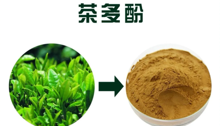 中空介孔二氧化硅微球（HMSN） 茶多酚（TP）