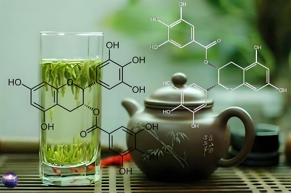 来看！中空介孔二氧化硅微球是如何“稳住”茶多酚的