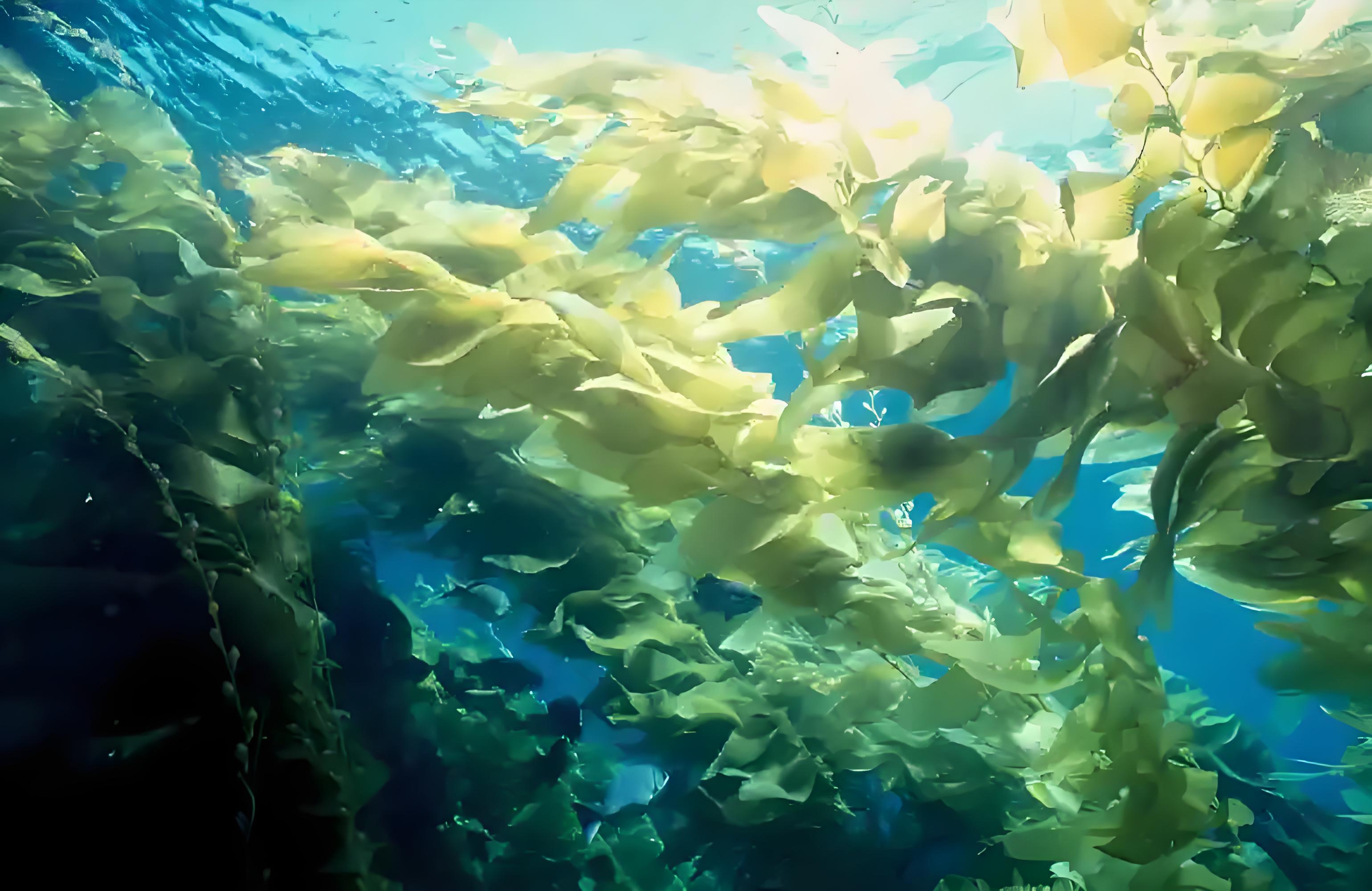 海洋生物活性肽