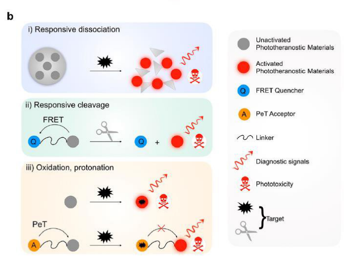 DOPE脂质 DOPE脂质