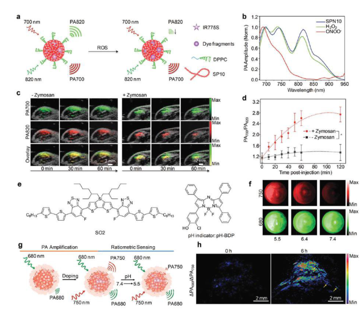 DOPE脂质 DOPE脂质