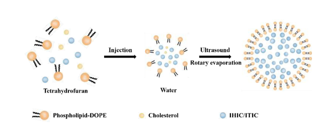 DOPE脂质 DOPE脂质