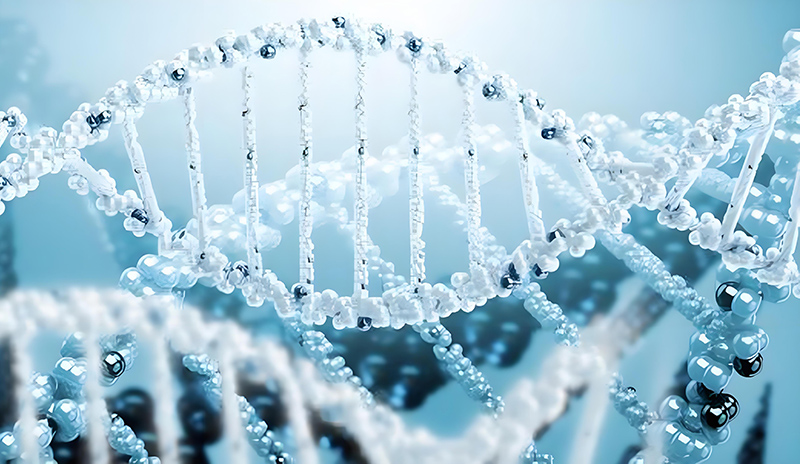 432b-bcfc-db0f0315e7ee 432b-bcfc-db0f0315e7ee