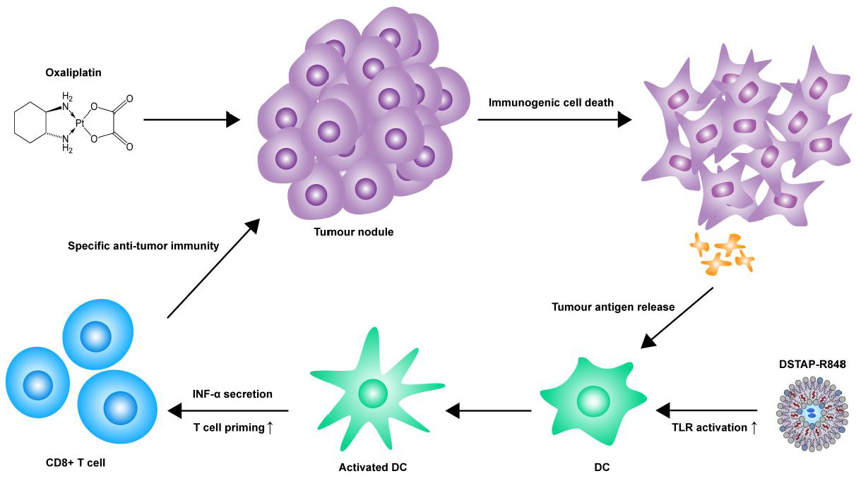 pharmaceutics-13-01696-ag