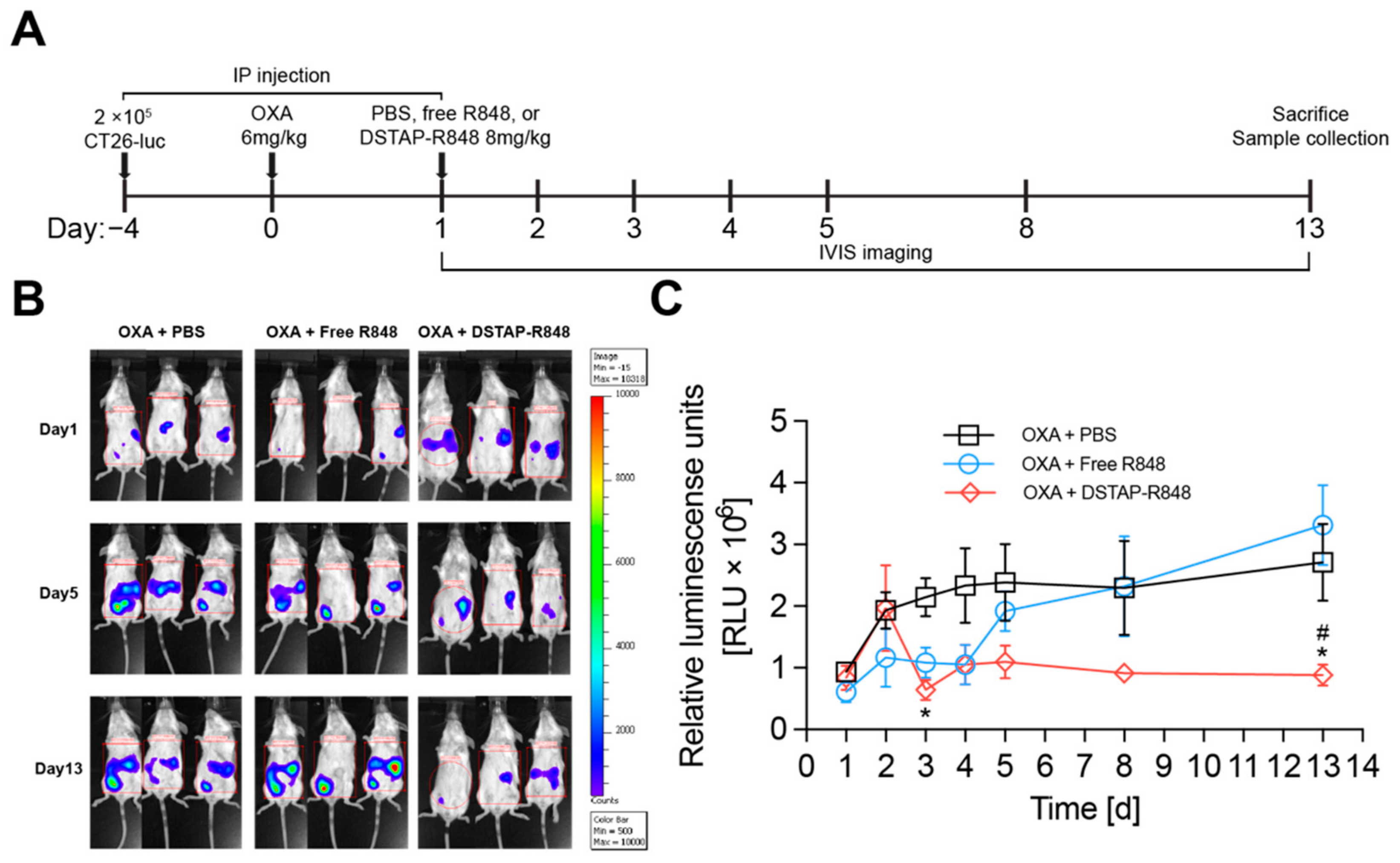 pharmaceutics-13-01696-g004