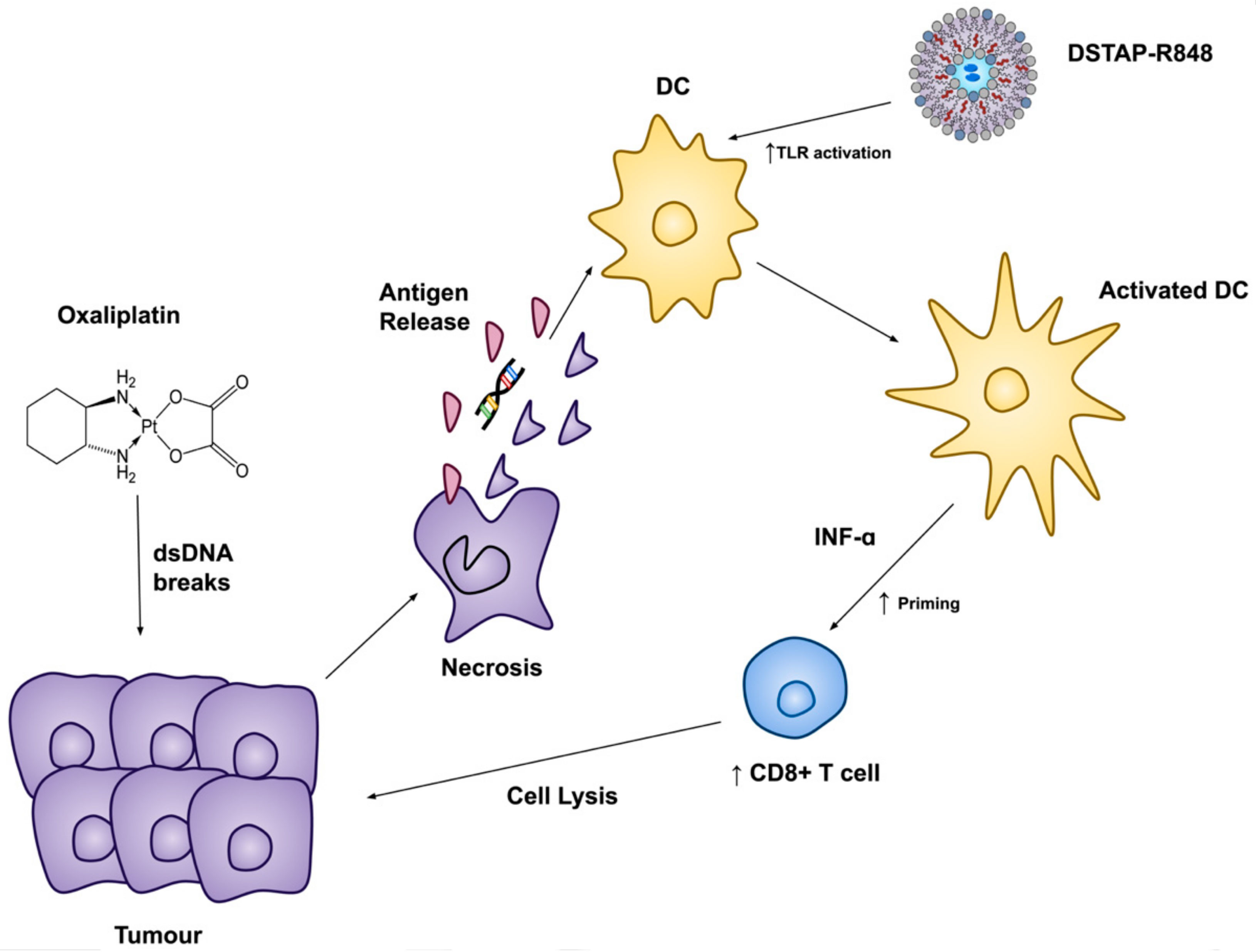 pharmaceutics-13-01696-g006