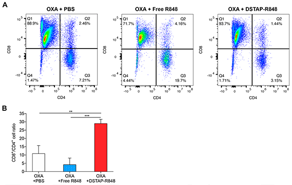 pharmaceutics-13-01696-g005