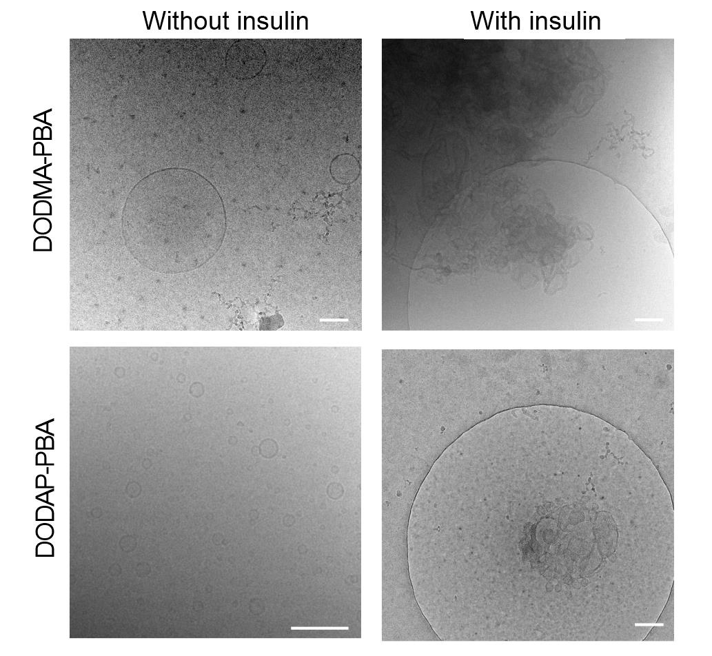 anie202303097-sup-0001-misc_information-37 anie202303097-sup-0001-misc_information-37