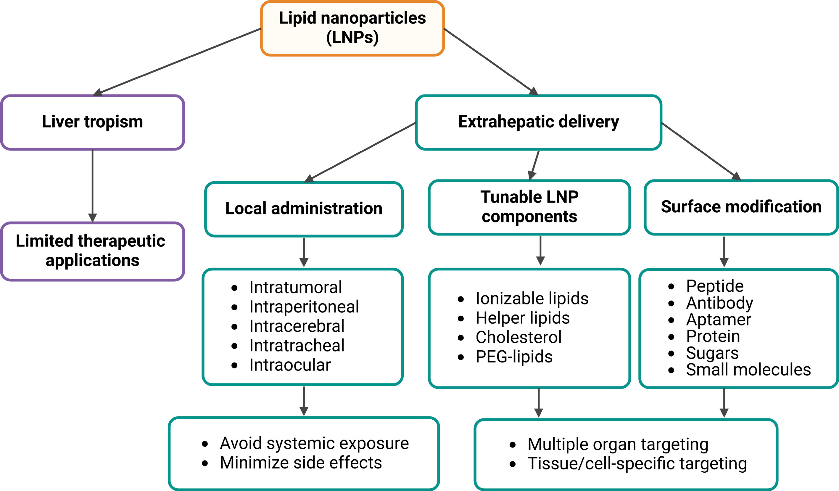 1909494743748395010-12 1909494743748395010-12