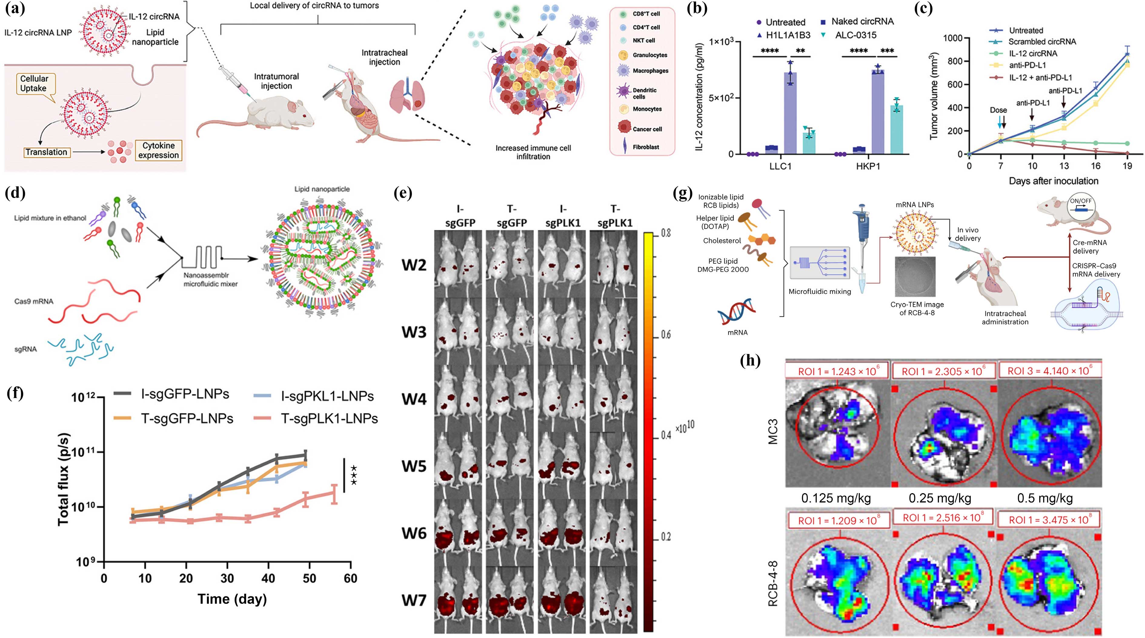 1909494743748395010-13 1909494743748395010-13