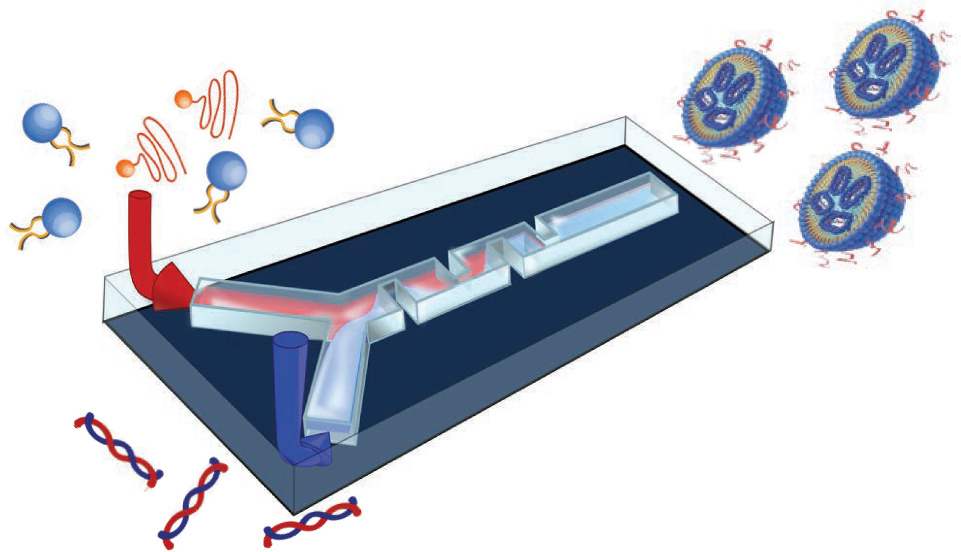 DOTAP新型脂质体配方工艺开发 DOTAP新型脂质体配方工艺开发