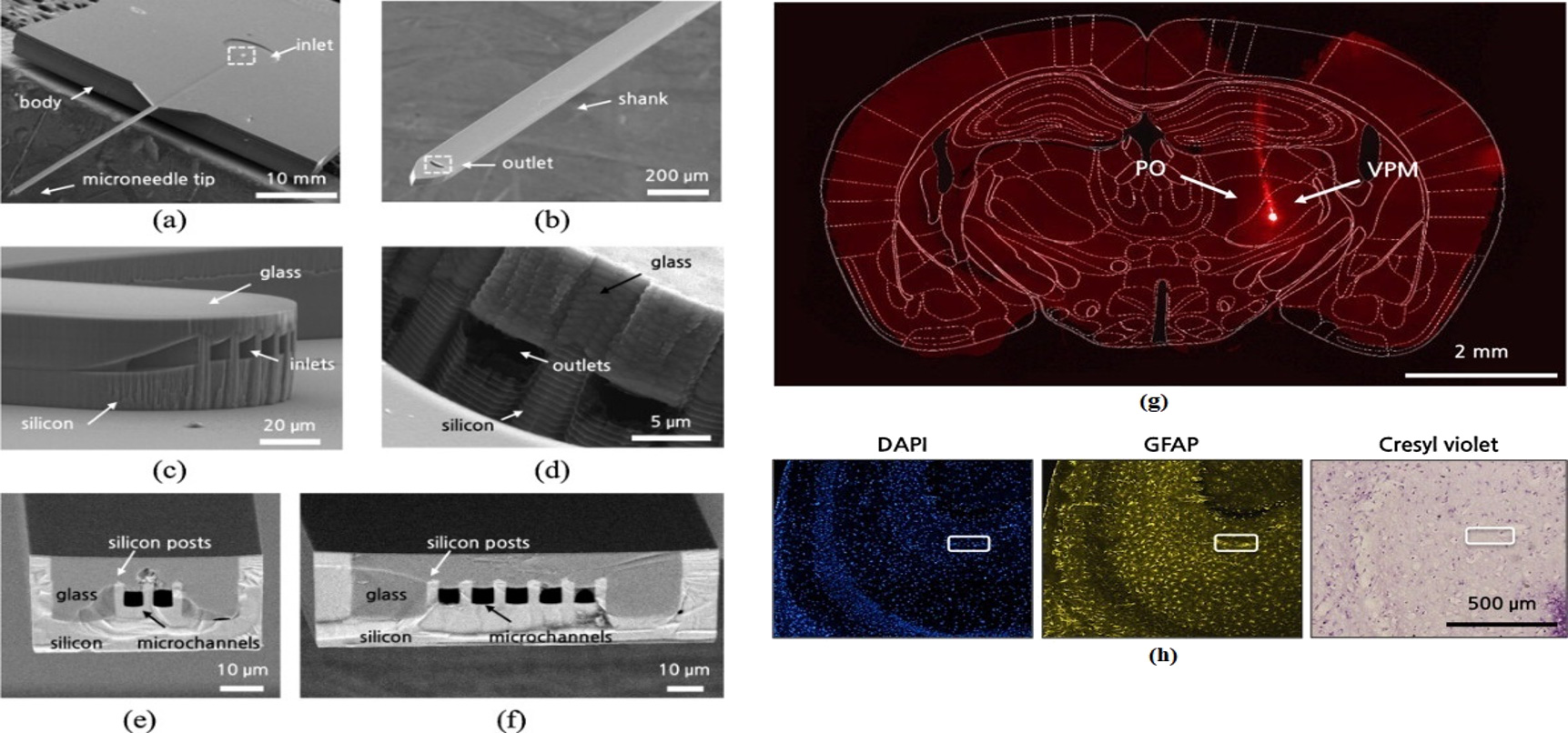 聚合物微针 聚合物微针