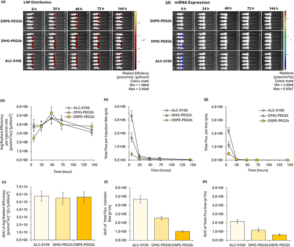 面向产业化的LNP制剂方案：中新康明提供端到端CDMO支持