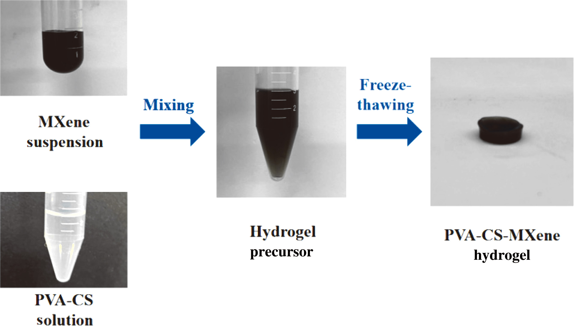 冻融水凝胶制备示意图 冻融水凝胶制备示意图