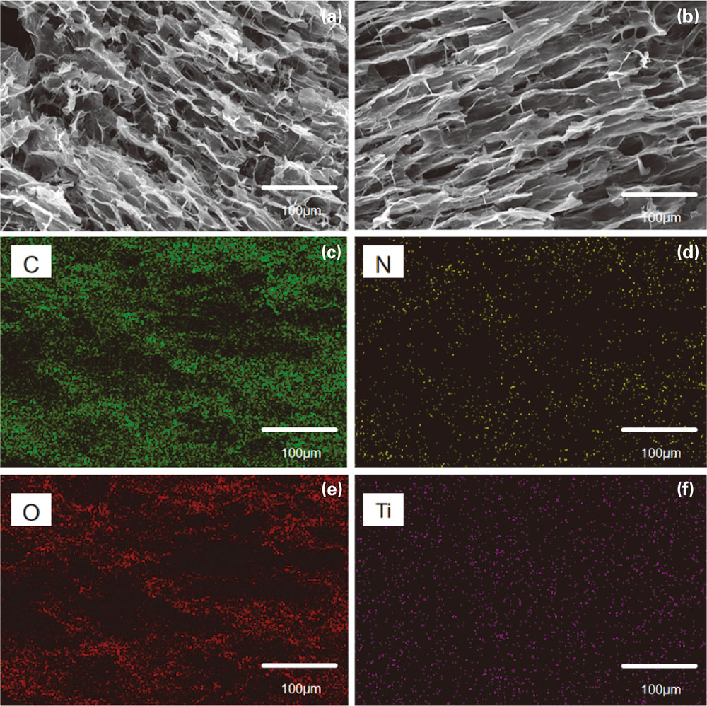 水凝胶的SEM图 水凝胶的SEM图