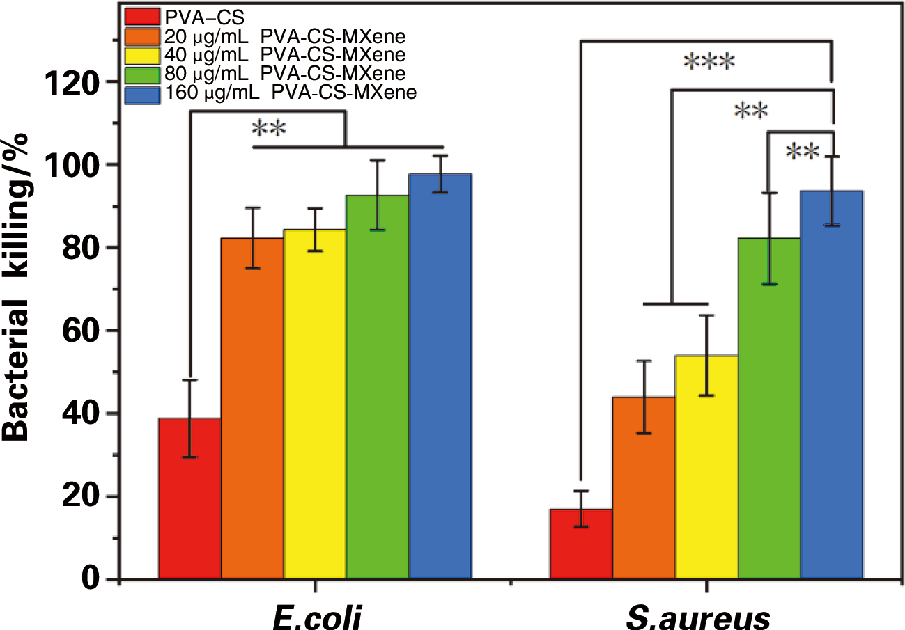 负载MXene纳米片的冻融水凝胶的制备及防治术后胰瘘的研究-不同水凝胶抗大肠杆菌和金黄色葡萄球菌的杀菌 负载MXene纳米片的冻融水凝胶的制备及防治术后胰瘘的研究-不同水凝胶抗大肠杆菌和金黄色葡萄球菌的杀菌