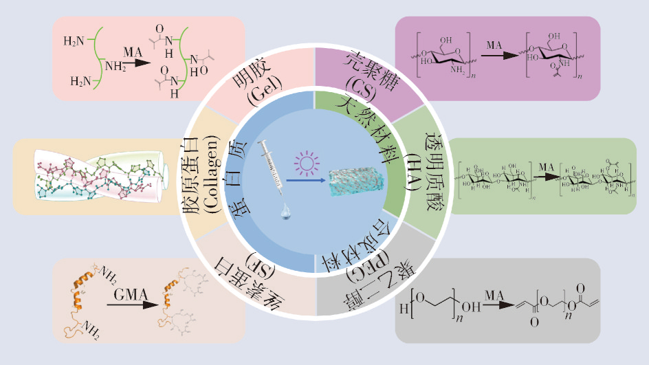 光交联水凝胶 光交联水凝胶