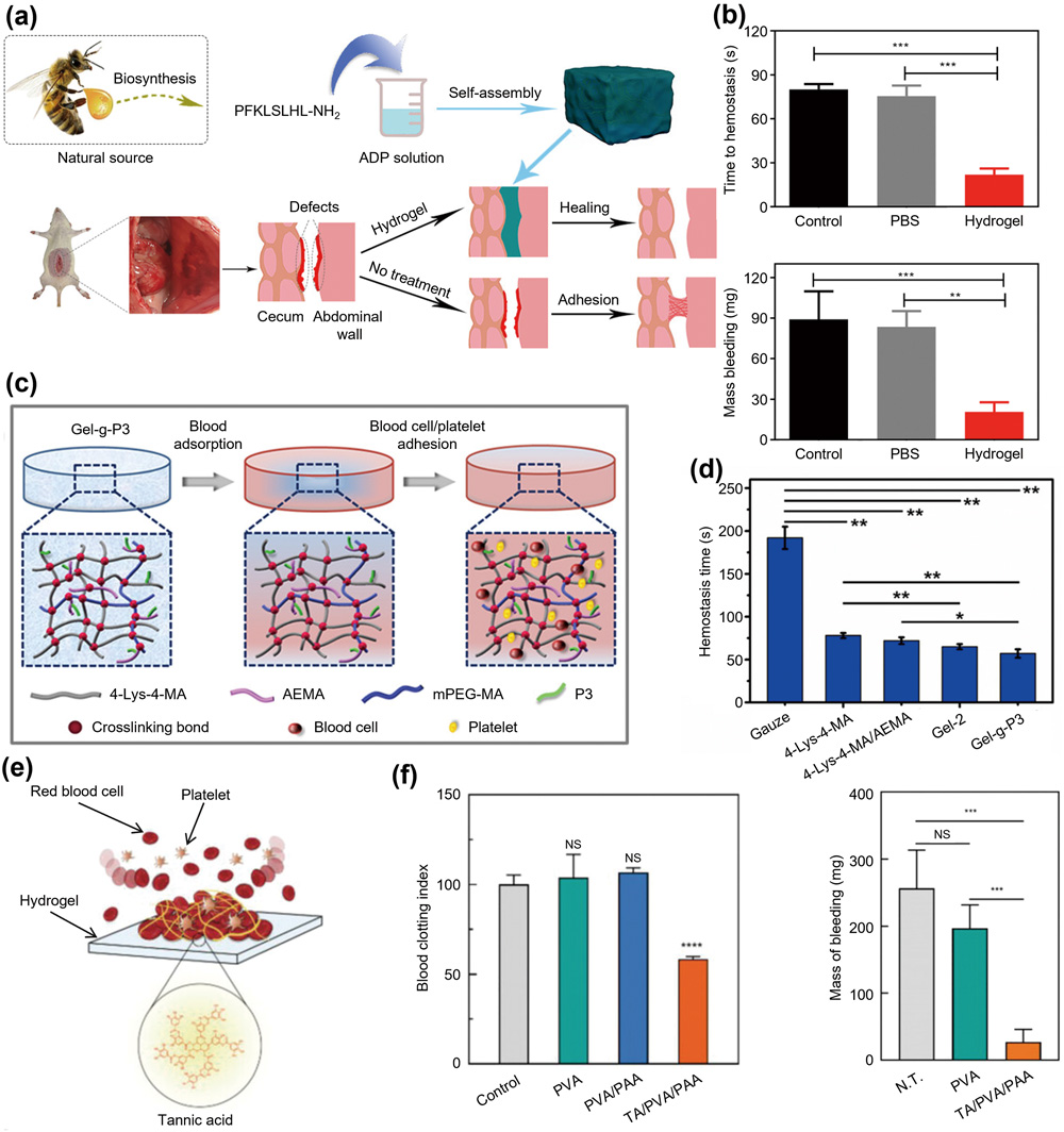 生物活性水凝胶通过调控细胞行为促进皮肤慢性创面愈合-10
