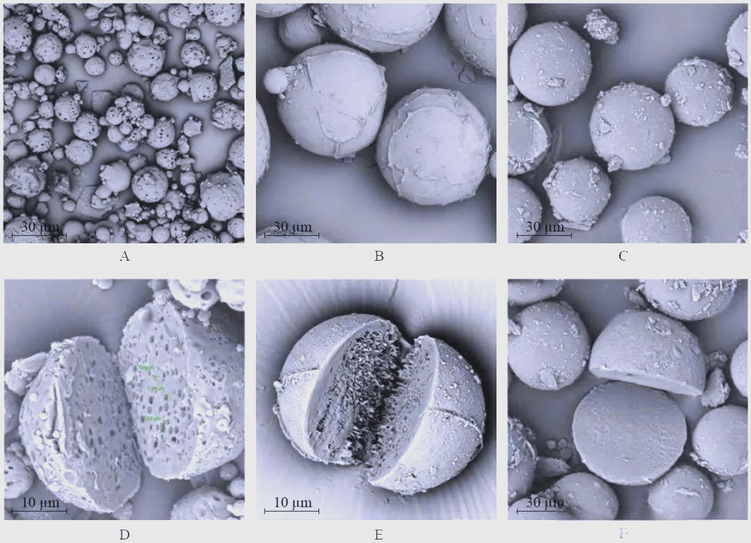 胆红素吸附剂创新突破：中新康明实现PES改性微球大包装供应及CDMO规模化生产