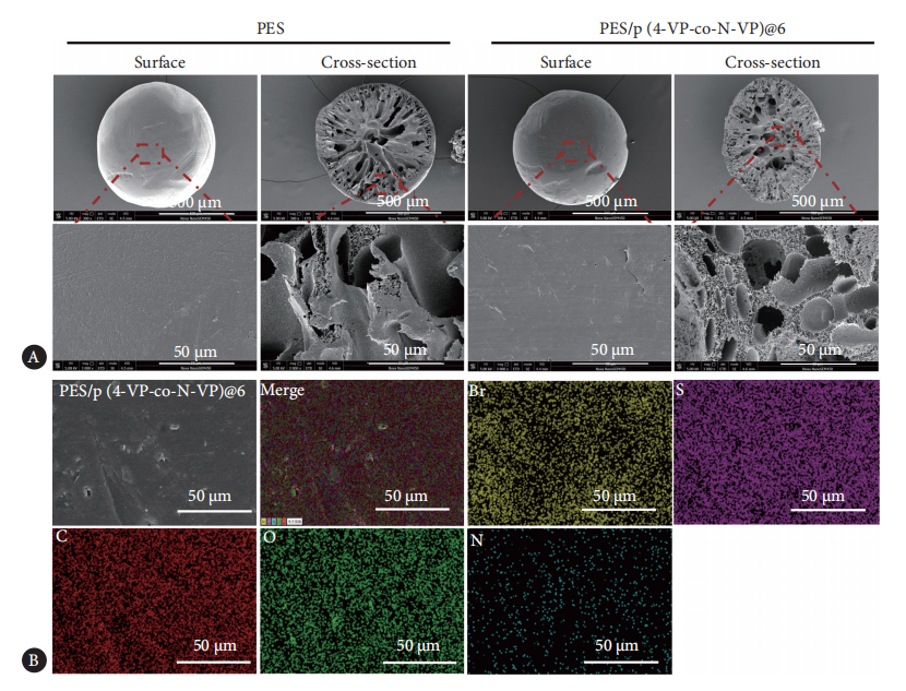改性聚醚砜微球 改性聚醚砜微球
