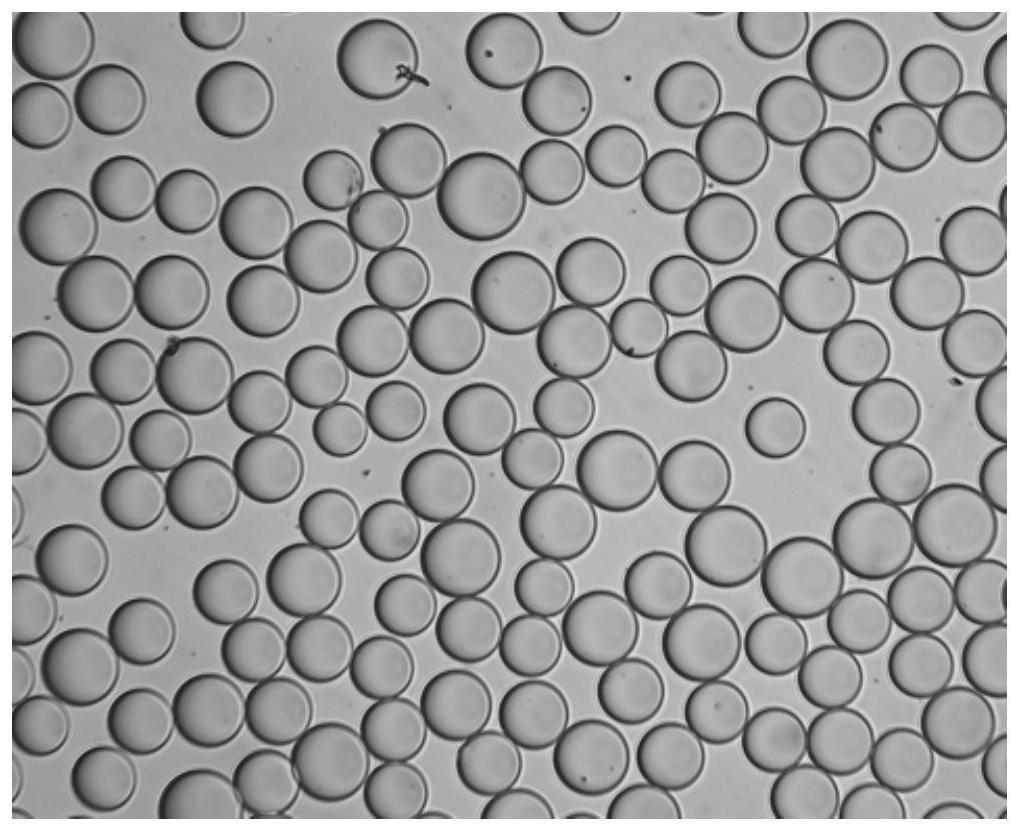 p-PHA微球 p-PHA微球