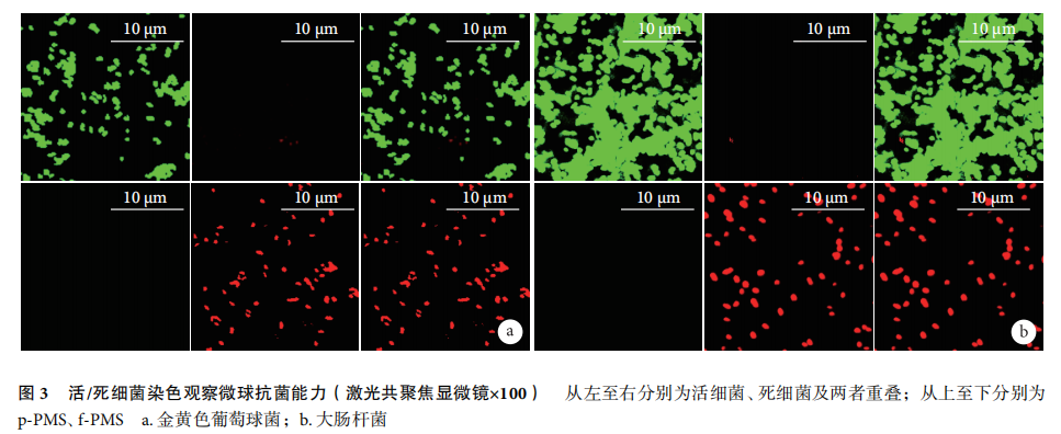 p-PHA微球 p-PHA微球