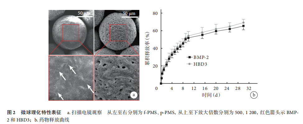 p-PHA微球 p-PHA微球