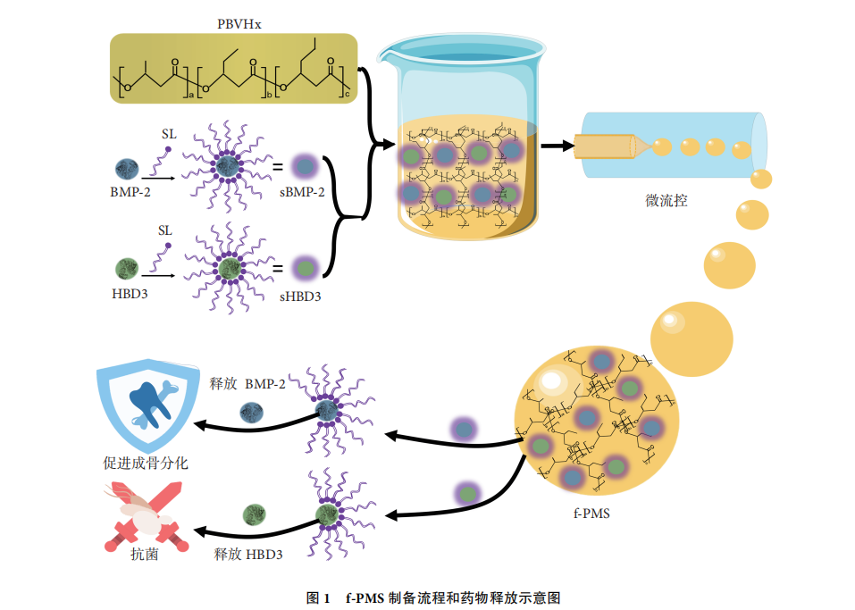 p-PHA微球 p-PHA微球