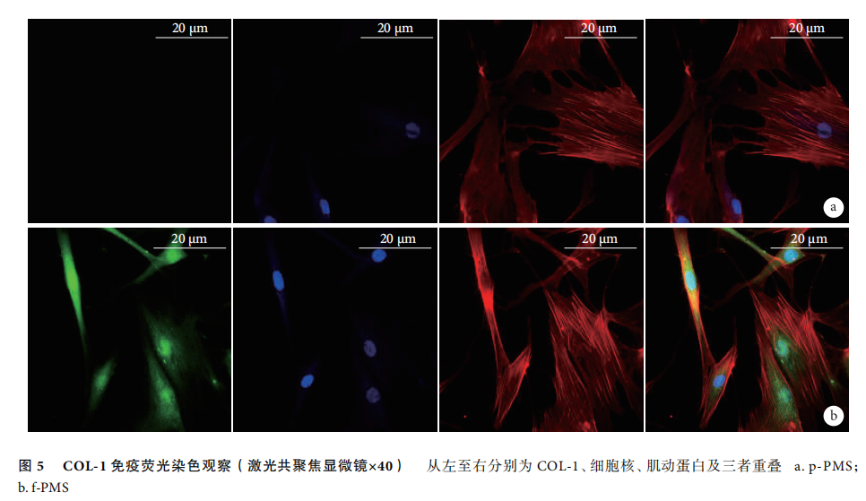 p-PHA微球 p-PHA微球