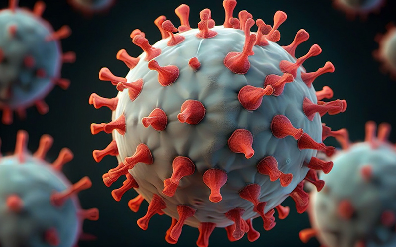 7e03f9fe00442b7bb44d8874372c985b7 7e03f9fe00442b7bb44d8874372c985b7