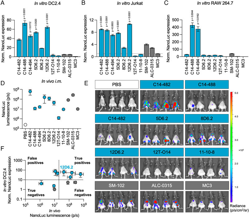 swingle-et-al-2025-circular-rna-lipid-nanoparticle-vaccine-against-sars-cov-2-1 swingle-et-al-2025-circular-rna-lipid-nanoparticle-vaccine-against-sars-cov-2-1