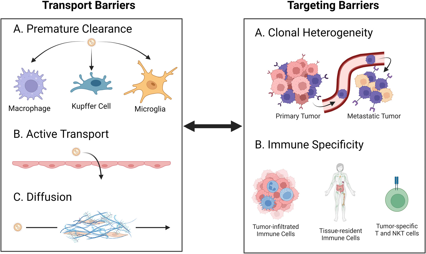 Bioengineering---Transla-Med---2023---Paun---A-landscape-of-recent-advances-in-lipid-nanoparticles-and-their-translational-11