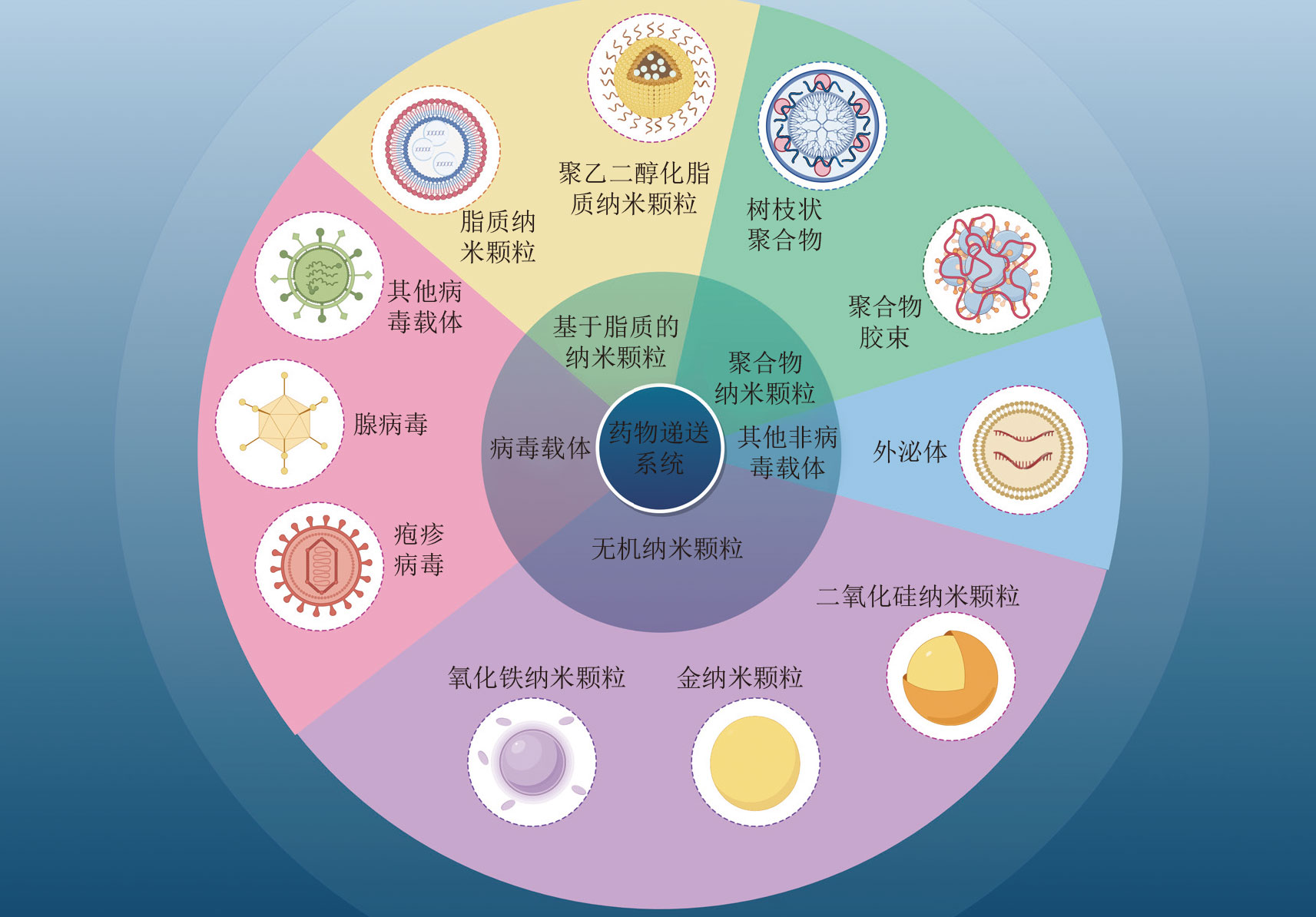 RNA药物递送系统抗三阴性乳腺癌的研究进展-5 RNA药物递送系统抗三阴性乳腺癌的研究进展-5