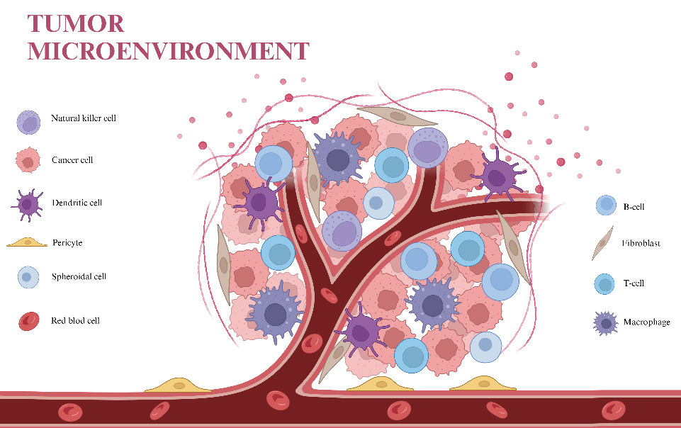 Research+progress+on+nanoparticle-based+and+long+non-coding+RNA-targeted+therapy+for+liver+cancer-1 Research+progress+on+nanoparticle-based+and+long+non-coding+RNA-targeted+therapy+for+liver+cancer-1