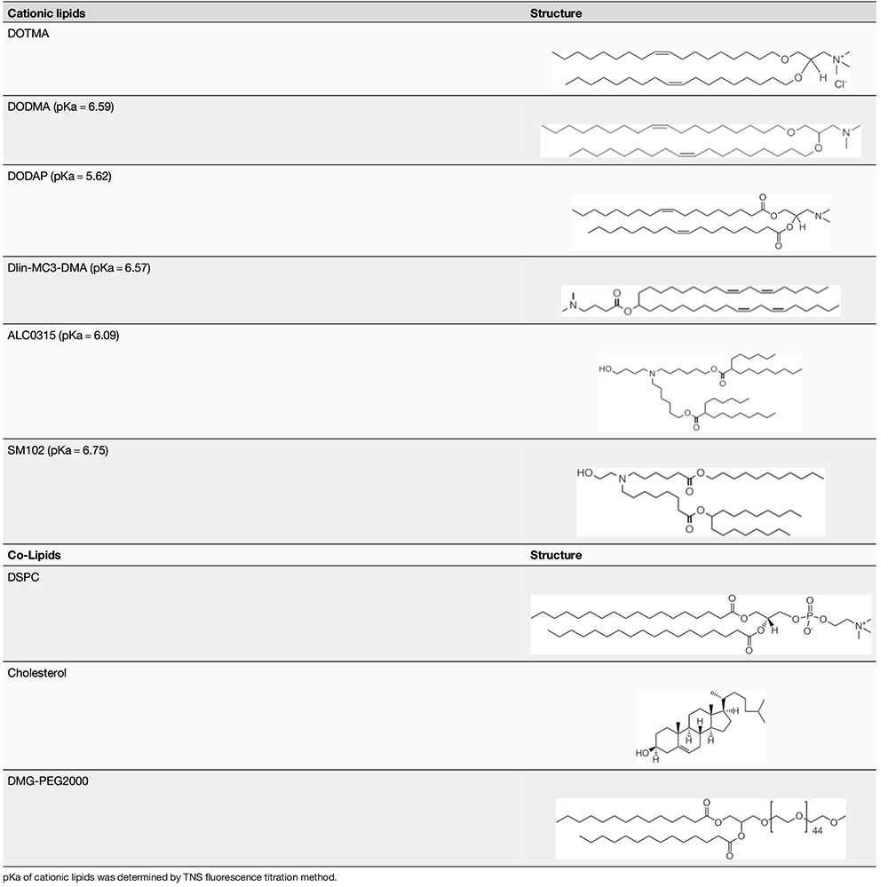 Lipid-Nanoparticle-Development-for-A-3 Lipid-Nanoparticle-Development-for-A-3