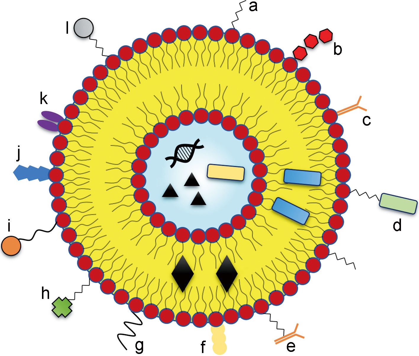 脂质体在阿尔茨海默病治疗中的应用-用于-AD-治疗的脂质体修饰结果 脂质体在阿尔茨海默病治疗中的应用-用于-AD-治疗的脂质体修饰结果
