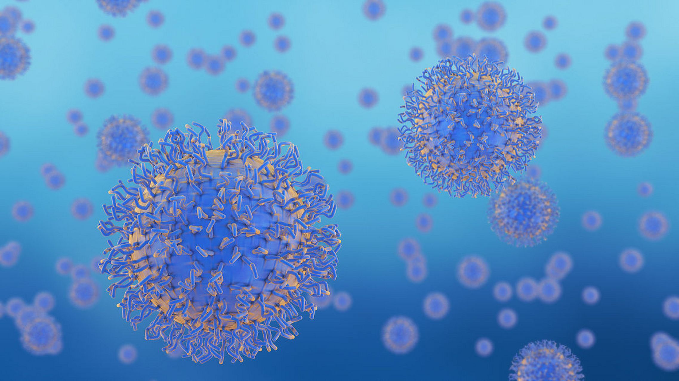 f010f3712d7ff9f72ff5be4adea73da2