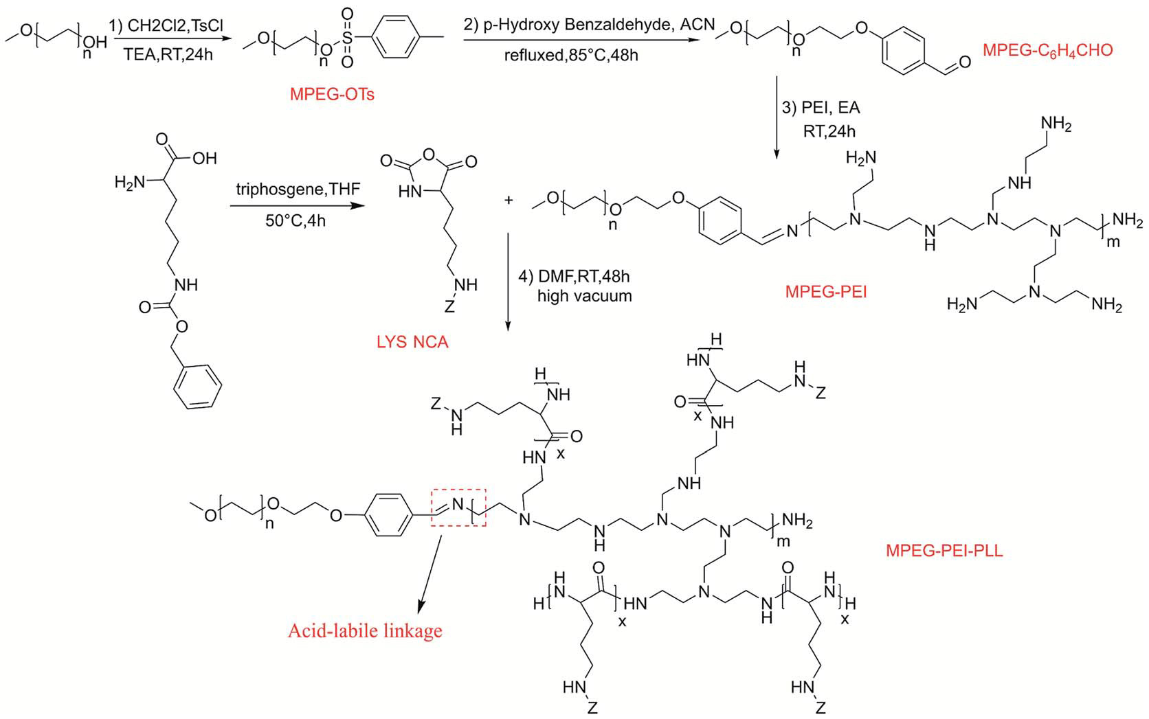 pH-Responsive-hyperbranched-polypeptides-based-on-Schiff-bases-as-drug-carriers-for-reducing-toxicity-of-chemotherapy-5