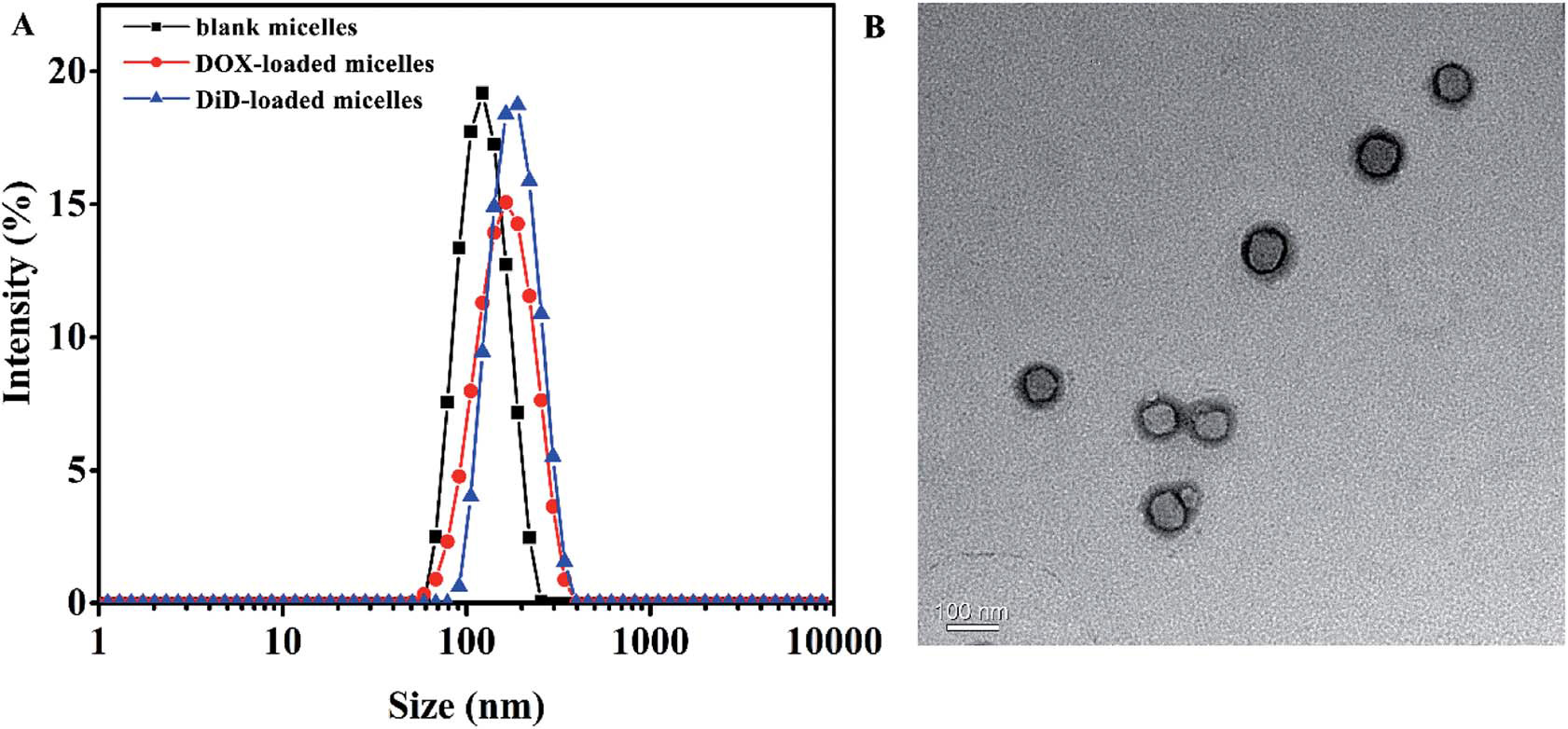 pH-Responsive-hyperbranched-polypeptides-based-on-Schiff-bases-as-drug-carriers-for-reducing-toxicity-of-chemotherapy-10