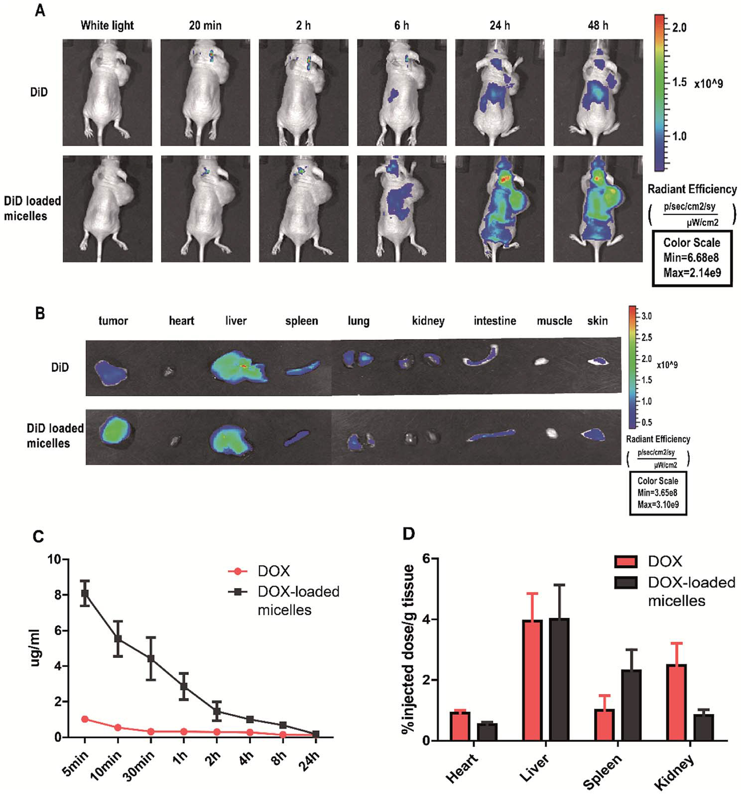 pH-Responsive-hyperbranched-polypeptides-based-on-Schiff-bases-as-drug-carriers-for-reducing-toxicity-of-chemotherapy-14