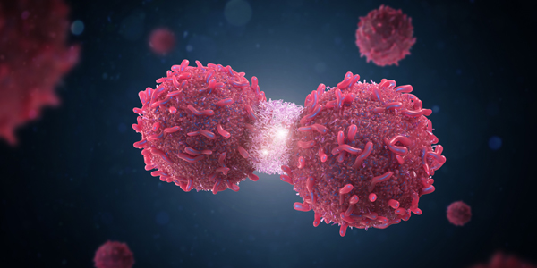 74A476E4E7FD82F9466F0456CF65CDEF 74A476E4E7FD82F9466F0456CF65CDEF