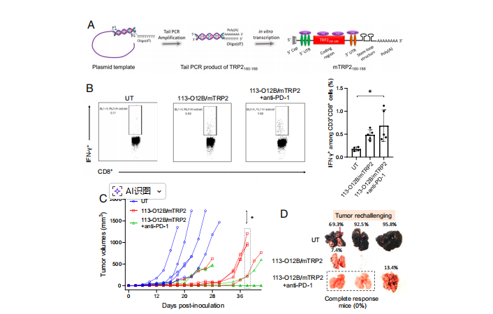 mRNA-LNP